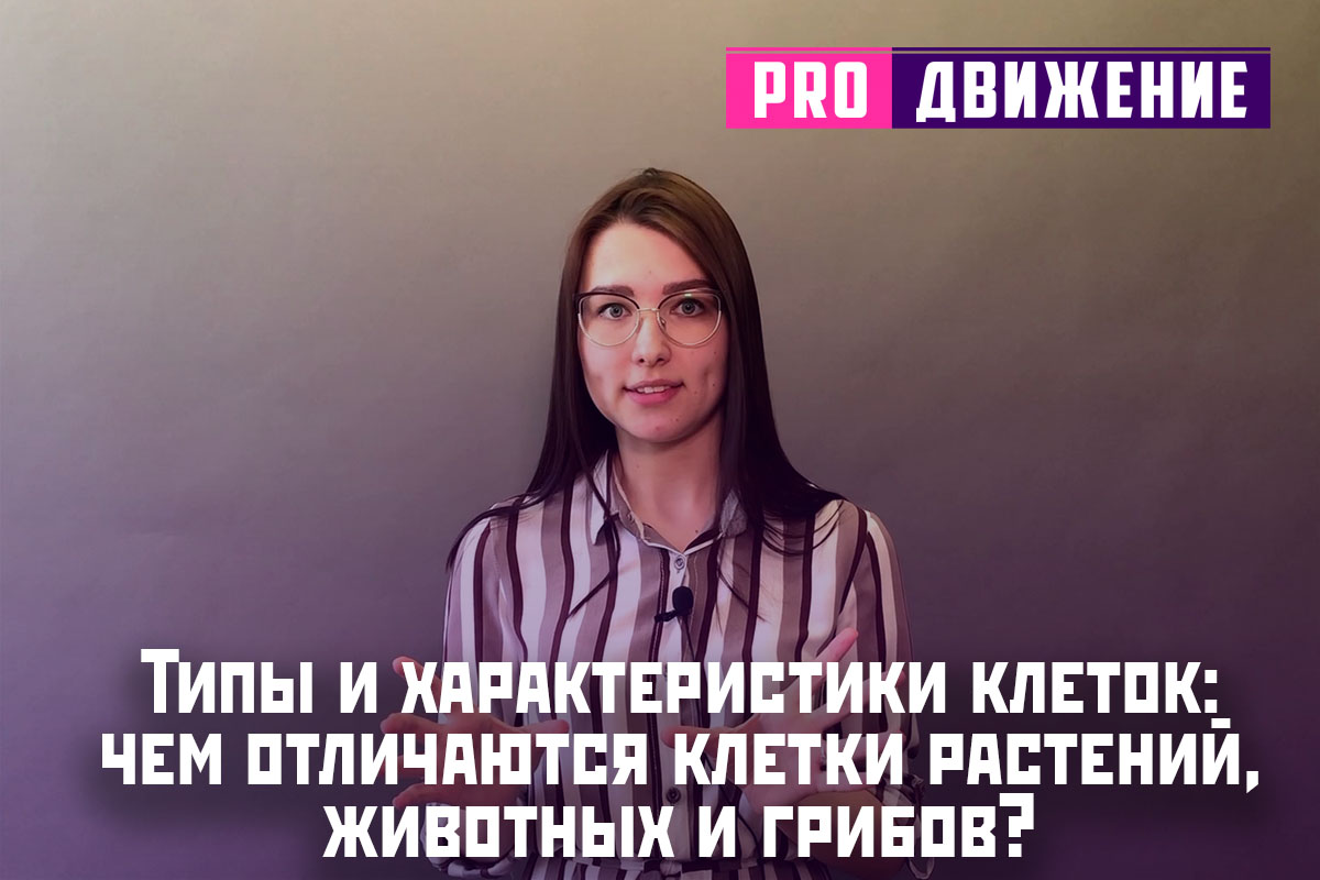 Типы и характеристики клеток: чем отличаются клетки растений, животных и грибов?