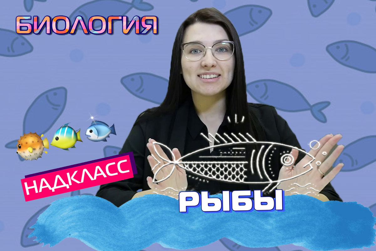 Надкласс «Рыбы». ЕГЭ Биология