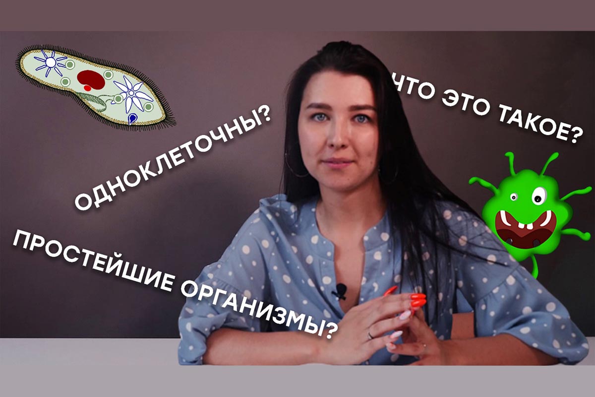 Что такое одноклеточные? Зоология #2