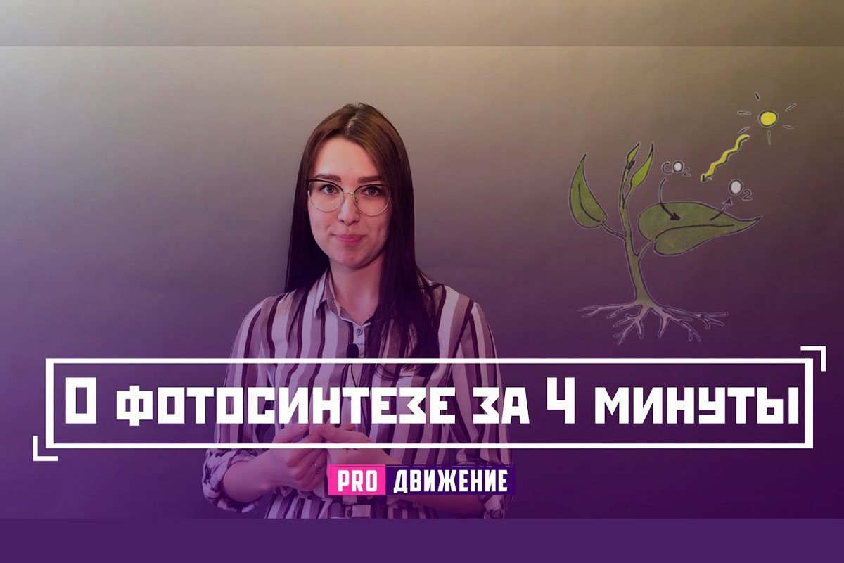 О фотосинтезе за 4 минуты
