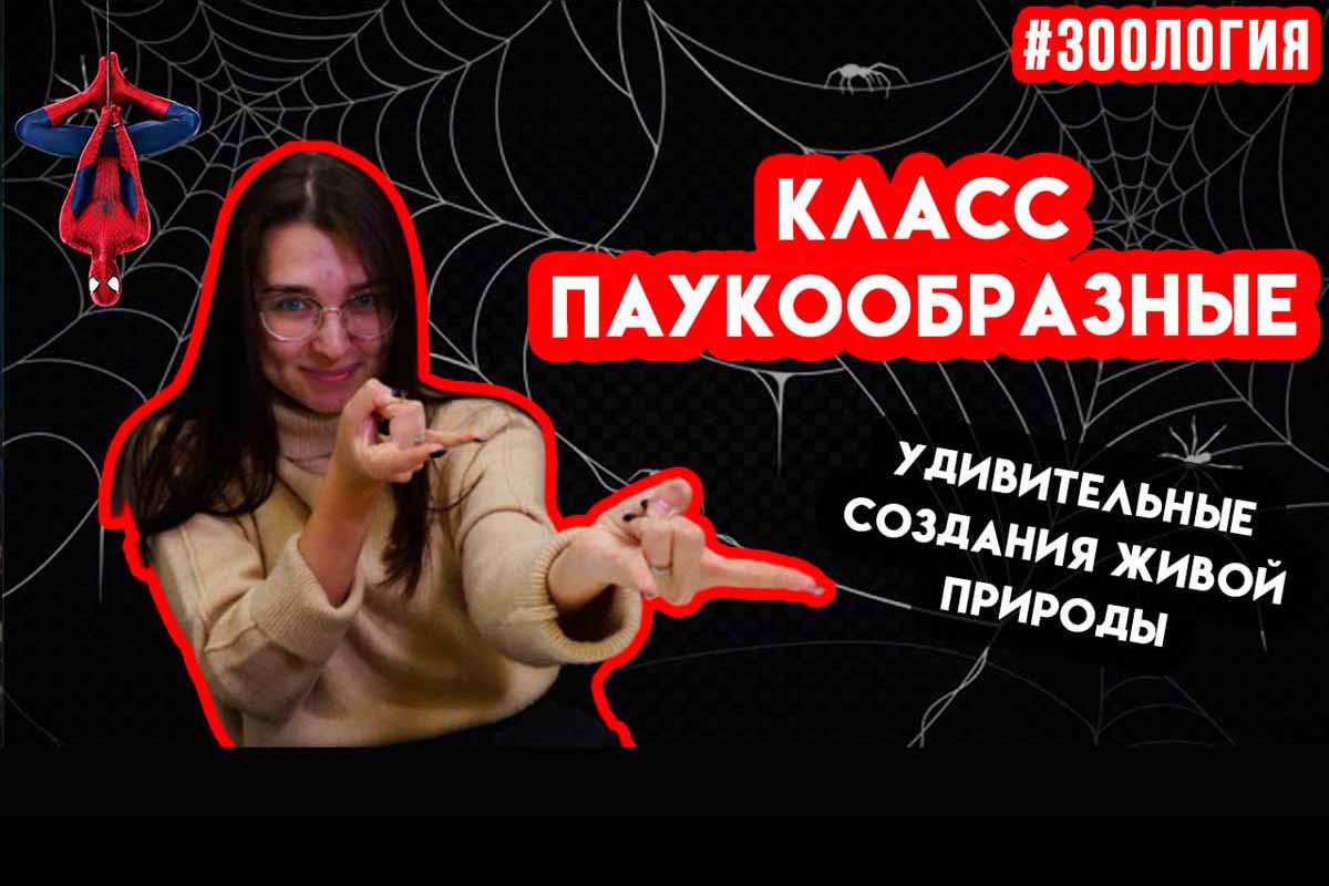 Паукообразные. Зоология #8 
