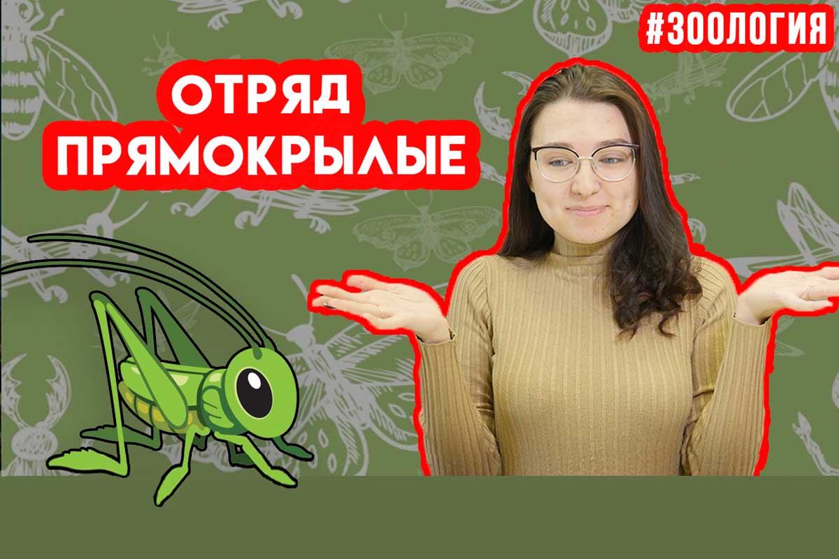Прямокрылые. Зоология #10
