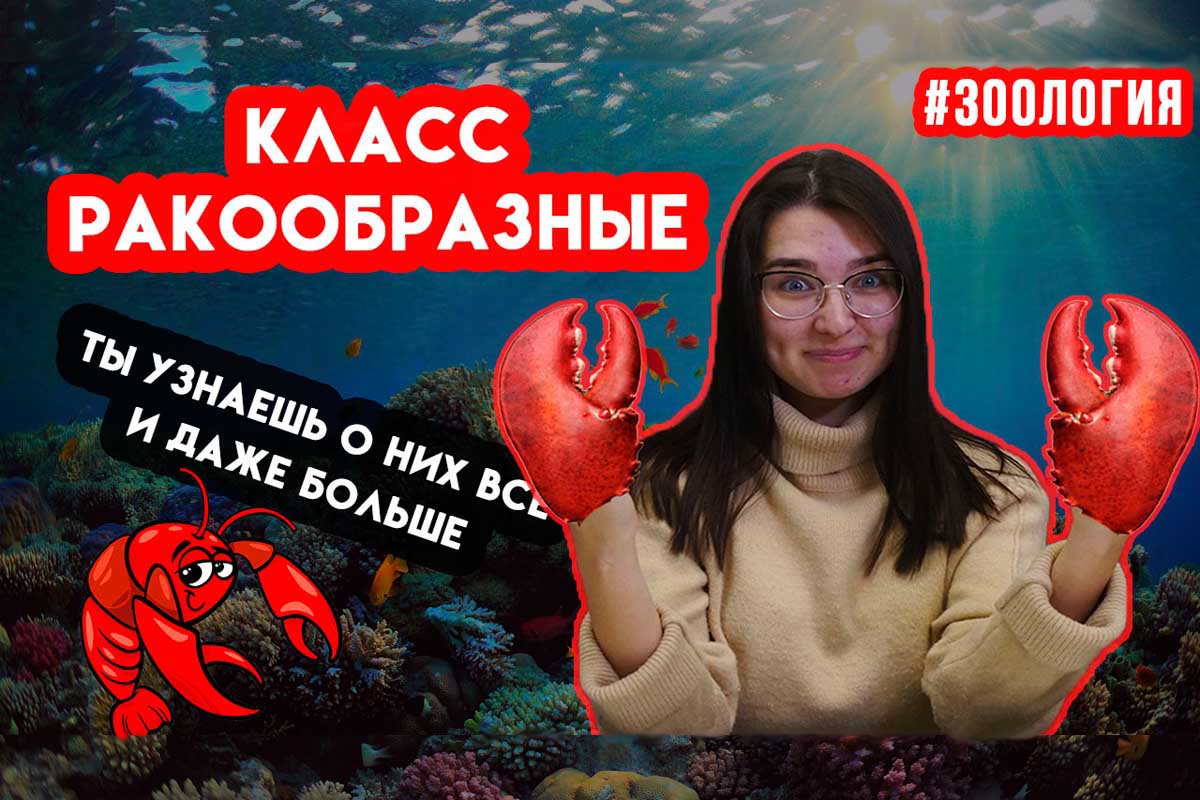 Всё и даже больше о ракообразных. Зоология #8