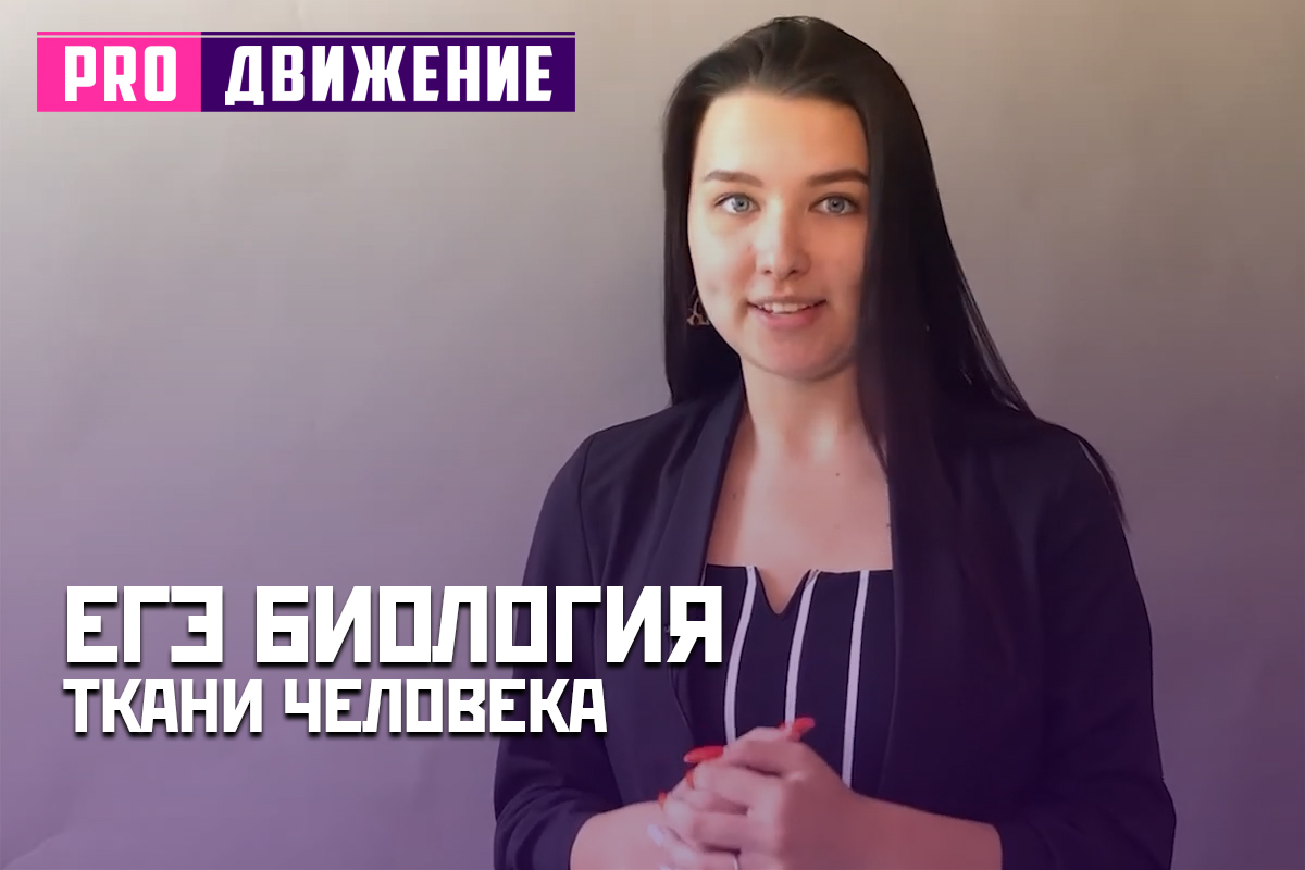 ЕГЭ. Биология. Ткани человека