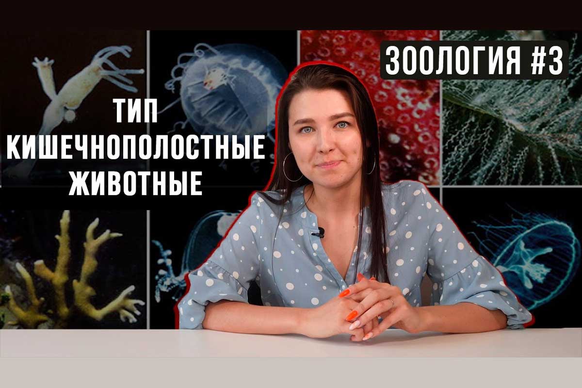 Тип кишечнополостные. Зоология #3